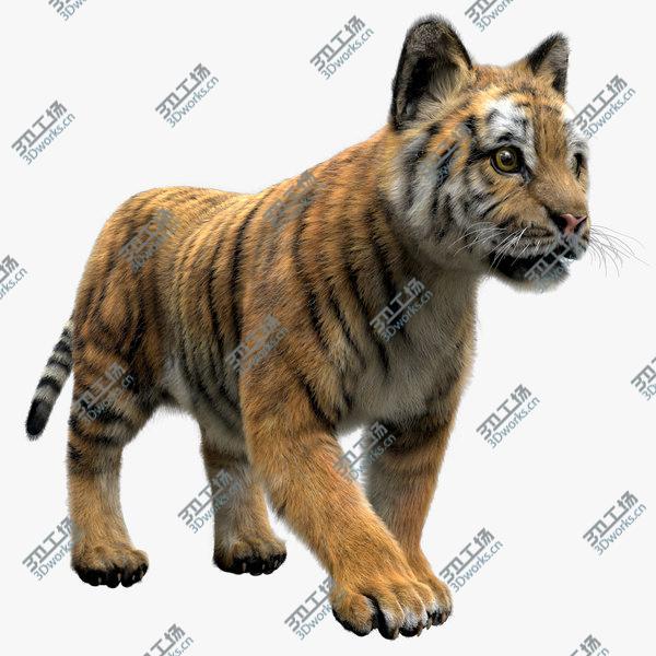 images/goods_img/20210312/TigerBaby Fur 3D model/1.jpg
